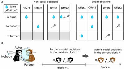 Short-Term Reciprocity in Macaque’s Social Decision-Making